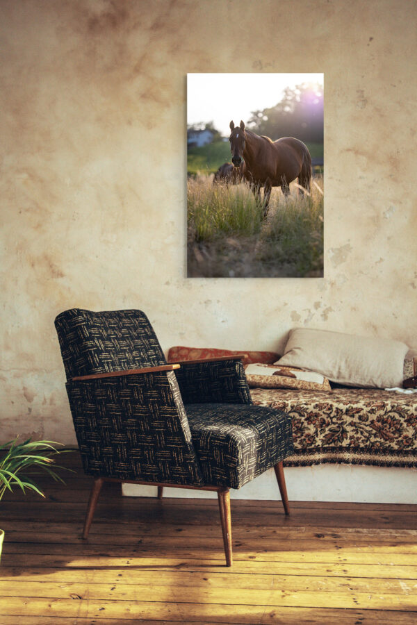 A0023 - mockup - horse portrait Vaud suisse cheval decoration photo